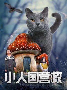 国产精品二区页在线播放
